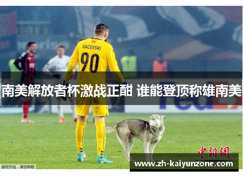 南美解放者杯激战正酣 谁能登顶称雄南美