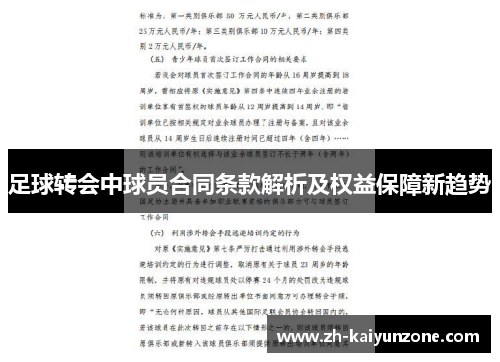 足球转会中球员合同条款解析及权益保障新趋势